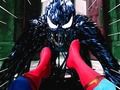 Xogo Home araña  en liña