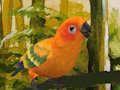 Xogo Bonito puzzle Budgie  en liña