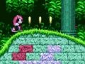 Xogo Mighty & Ray en Sonic 2  en liña