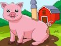 Xogo Animal: atopa as diferenzas  en liña