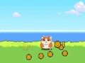 Xogo Hamster Kombat Clicker en liña Xogo Hamster Kombat Clicker en liña