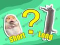 Xogo Quiz para nenos: o máis curto e o máis longo  en liña