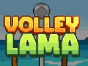 Xogo Volei Lama  en liña