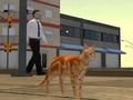 Xogo Simulador de cidade de gatos  en liña