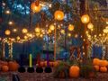 Xogo Halloween Lovely Garden Escape en liña