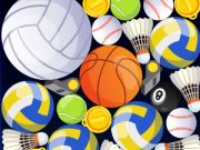 Xogo Fusión deportiva en liña