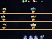 Xogo Combinación de flores  en liña