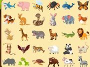 Xogo Descubre animais  en liña