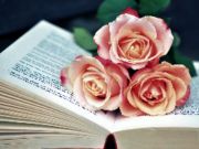 Xogo Libro de Blooms Jigsaw en liña