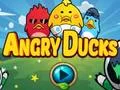 Xogo Angry Ducks en liña