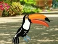 Xogo Find Woodpecker Pair en liña