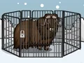 Xogo Rescue The Musk Ox en liña