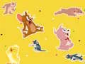 Xogo The Tom and Jerry Show Find it! en liña