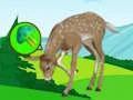 Xogo The Deer Meadow Escape en liña