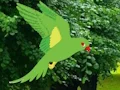 Xogo Parrot Find The Nest en liña