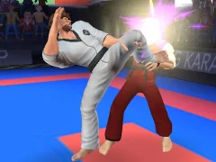 Xogo Karate Fighter en liña