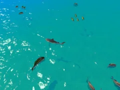 Xogo Hungry Shark Hunt en liña