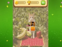Xogo Farm Cat Memory Match en liña