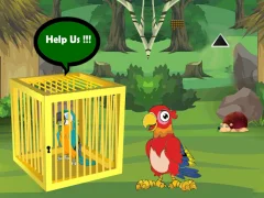 Xogo Release Trapped Macaw Buddy en liña
