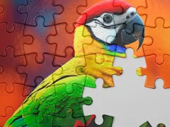 Xogo Jigsaw Master en liña