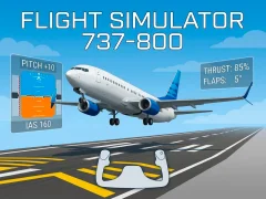 Xogo Flight Simulator 737-800 en liña