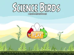 Xogo Science Birds en liña