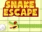 Xogo Snake escape en liña
