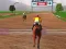 Xogo Jumping Horses Champions en liña