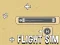 Xogo Flight Sim en liña