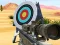 Xogo Hit Targets Shooting en liña