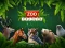 Xogo ZOO Trivia en liña