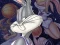 Xogo Space Jam en liña