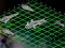 Xogo Intergalactic Battleships en liña