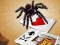 Xogo Jumping Spider en liña