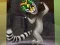 Xogo King Julien: Trommel-Tanz en liña