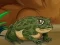 Xogo Frogs Matching en liña