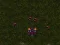 Xogo Starcraft 3 en liña