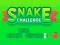 Xogo Snake Challenge en liña