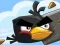 Xogo Crazy Birds en liña