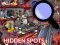 Xogo Hidden Spots In The Room en liña
