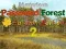Xogo Mysterious Password Forest Autumn Edition 2 en liña