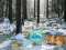 Xogo Winter Wonderland Forest Adventure en liña