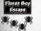 Xogo Floret Boy Escape en liña