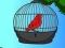 Xogo Red Bird Rescue en liña