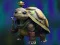 Xogo Isolated Turtle Escape en liña