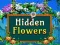 Xogo Hidden Flowers en liña