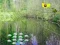 Xogo Sunlight Forest Adventure en liña