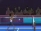 Xogo Badminton Brawl en liña