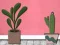 Xogo Find Houseplant en liña