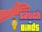 Xogo Catch the Birds en liña